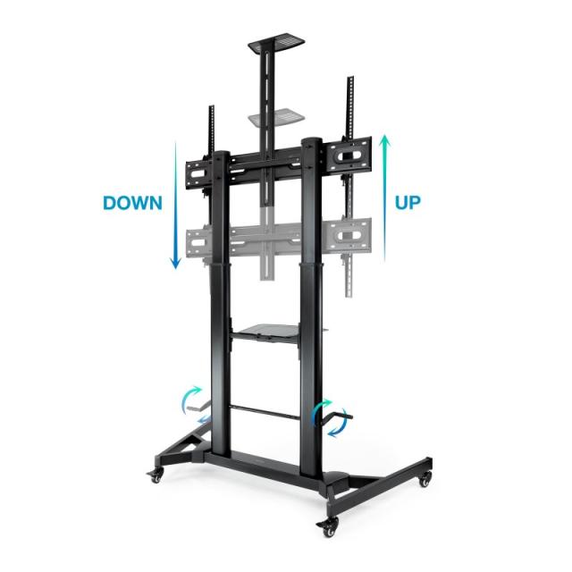 TooQ - ZEUS 2,54 m (100") Negro