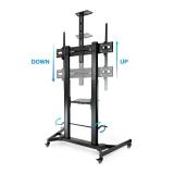 TooQ - ZEUS 2,54 m (100") Negro