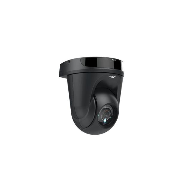 AVer - DL30 cámara web 2 MP 1920 x 1080 Pixeles USB Negro