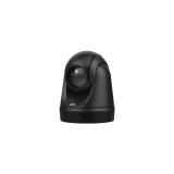 AVer - DL30 cámara web 2 MP 1920 x 1080 Pixeles USB Negro