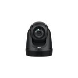 AVer - DL30 cámara web 2 MP 1920 x 1080 Pixeles USB Negro