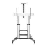 AISENS - FT100TE-125 soporte para pantalla de señalización 2,54 m (100") Negro, Plata