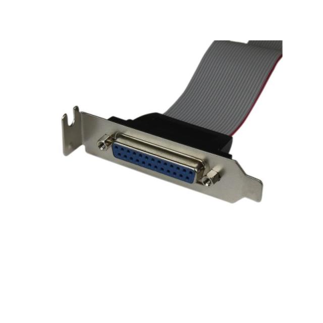 StarTech.com - Adaptador de 40cm Header Cabezal Bracket Paralelo Perfil Bajo DB25 a IDC26 Pines Placa Base