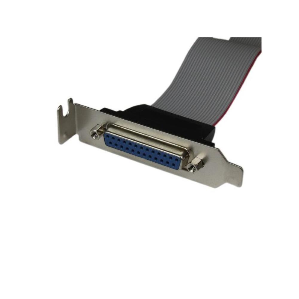 StarTech.com - Adaptador de 40cm Header Cabezal Bracket Paralelo Perfil Bajo DB25 a IDC26 Pines Placa Base