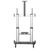 StarTech.com - Soporte Móvil de TV - Carrito de TV de Servicio Pesado para Pantallas de 60 a 100 Pulgadas - 100kg - Soporte Univ
