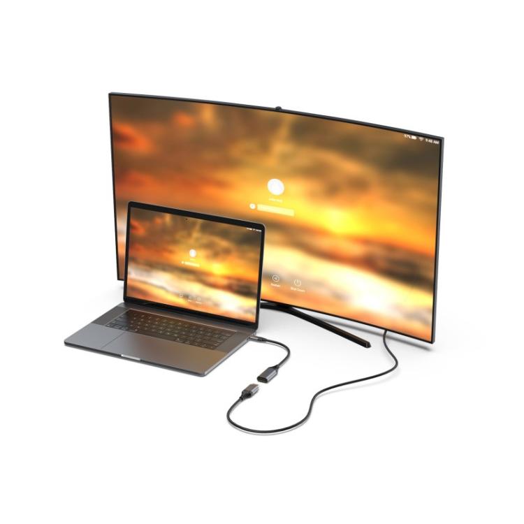 Equip - 133493 Adaptador de USB-C a DisplayPort 1.4, 8K/30Hz