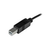 StarTech.com - Cable de 2m USB-C a USB B Macho a Macho - Cable USB Tipo C a USB B USB 2.0