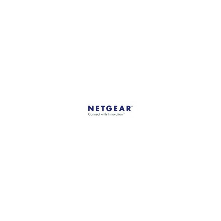 NETGEAR - ReadyNAS ReplicateSoftware 1 licencia(s) - RN00RPL1-10000S