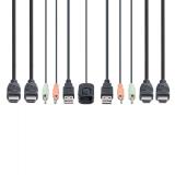 StarTech.com - C2-DH46-UA2-CBL-KVM interruptor KVM Negro