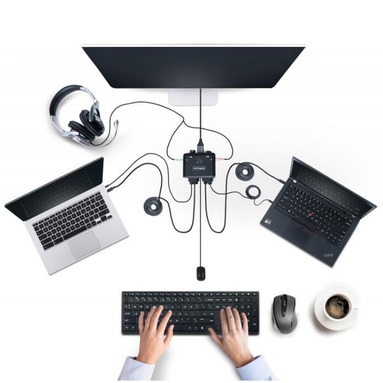 StarTech.com - C2-D46-UC2-CBL-KVM interruptor KVM Negro