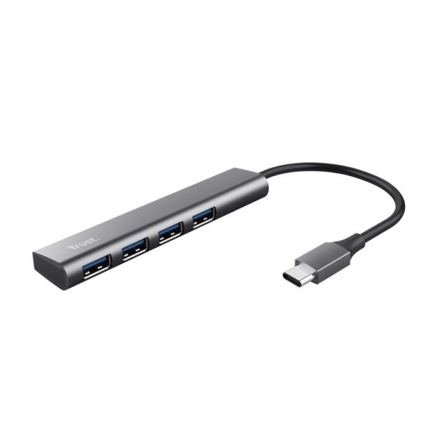 Trust - Halyx USB 3.2 Gen 1 (3.1 Gen 1) Type-A 5 Mbit/s Gris