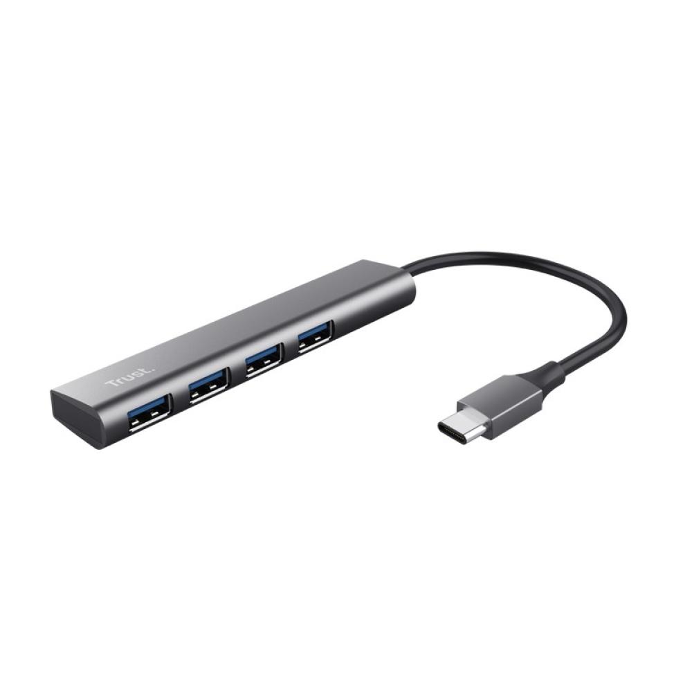 Trust - Halyx USB 3.2 Gen 1 (3.1 Gen 1) Type-A 5 Mbit/s Gris