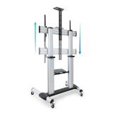 TooQ - Partenón 2,54 m (100") Plata