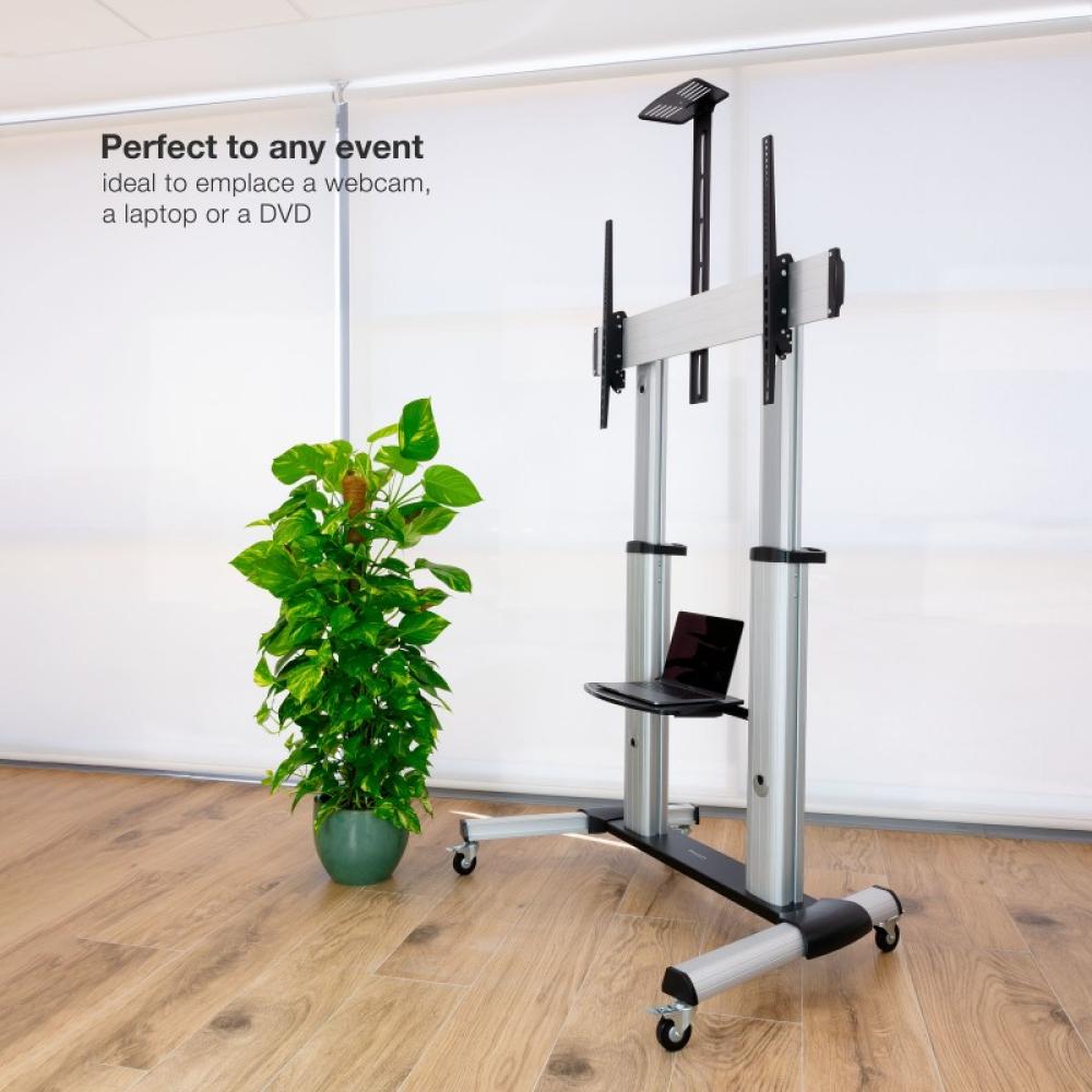 TooQ - Partenón 2,54 m (100") Plata