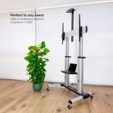 TooQ - Partenón 2,54 m (100") Plata