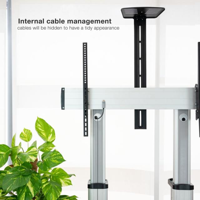 TooQ - Partenón 2,54 m (100") Plata