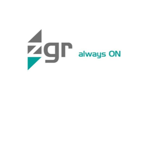 Zigor - TOWER PRO 10 KVA EFFICIENT 10 KVA - SE000059-5