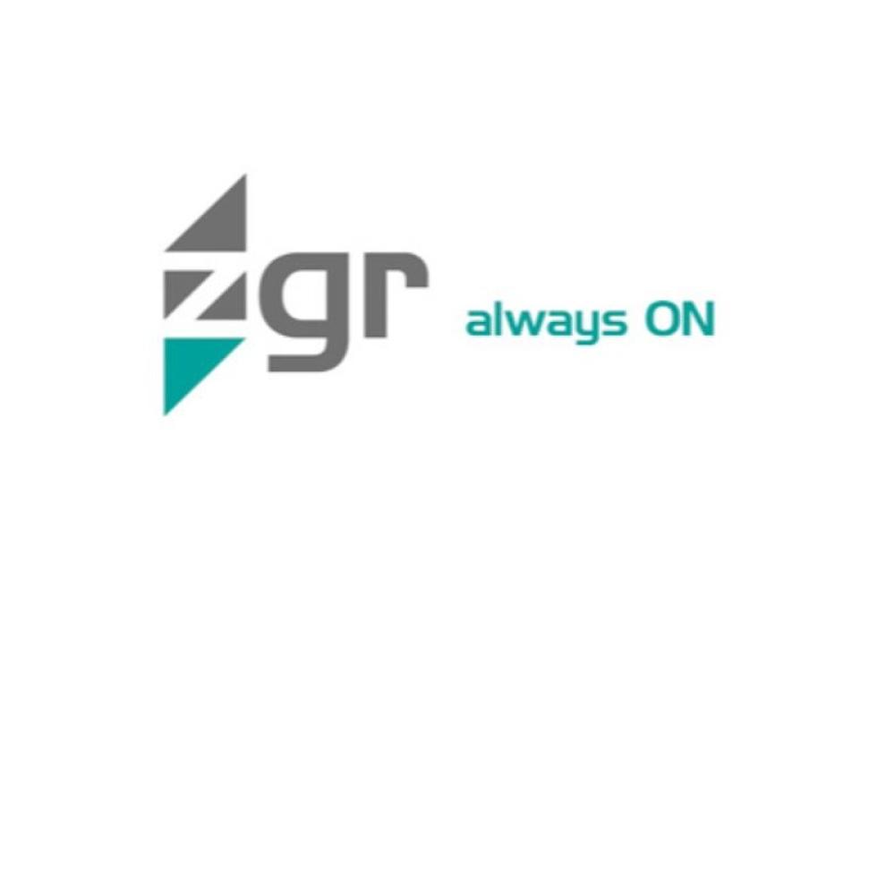 Zigor - TOWER PRO 10 KVA EFFICIENT 10 KVA - SE000059-5