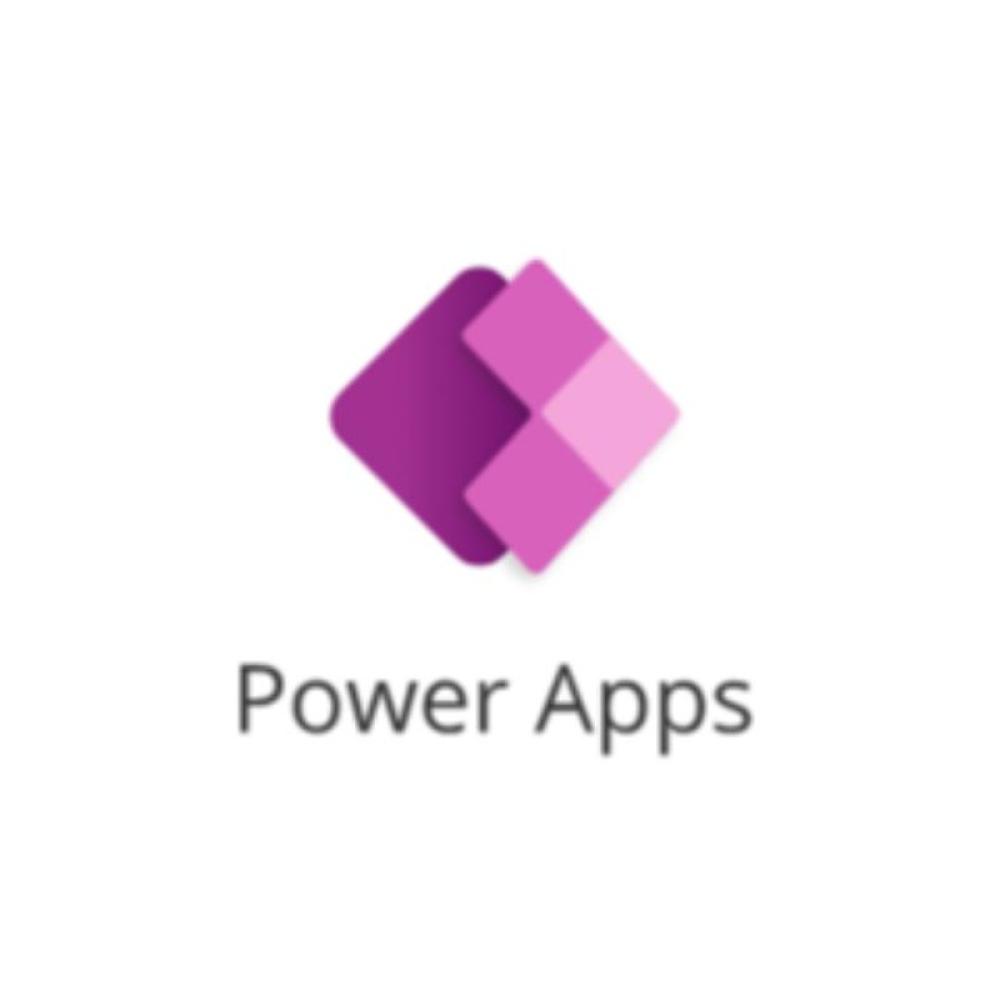 Microsoft - POWER APPS PORTALS LOGIN CAP ADD-ON
