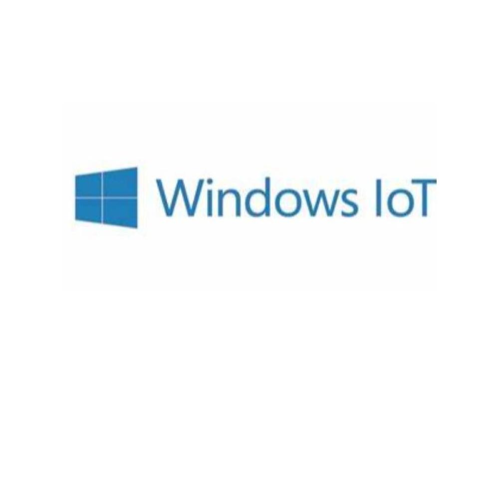 Microsoft - WINDOWS 10 IOT ENTERPRISE LTSC 2021