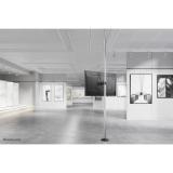 Neomounts - FL40-430BL12 Soporte de tubo para TV 23-42" - diá. 28-50 mm