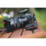 Verbatim - 49504 pila doméstica Batería de un solo uso AAA Alcalino