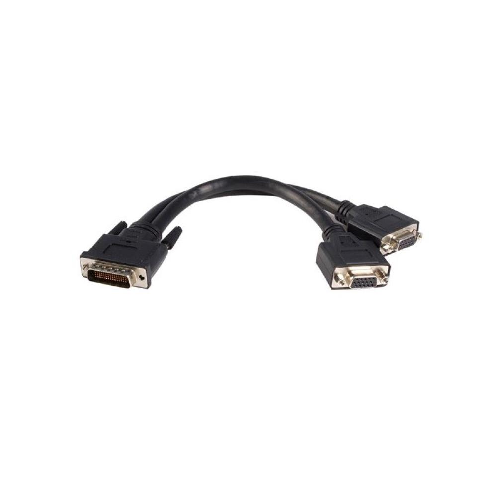 StarTech.com - Cable de 0,2m de LFH59 DMS-59 a doble dual VGA - DMS59 Macho - 2x VGA Hembra