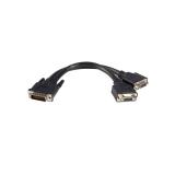 StarTech.com - Cable de 0,2m de LFH59 DMS-59 a doble dual VGA - DMS59 Macho - 2x VGA Hembra