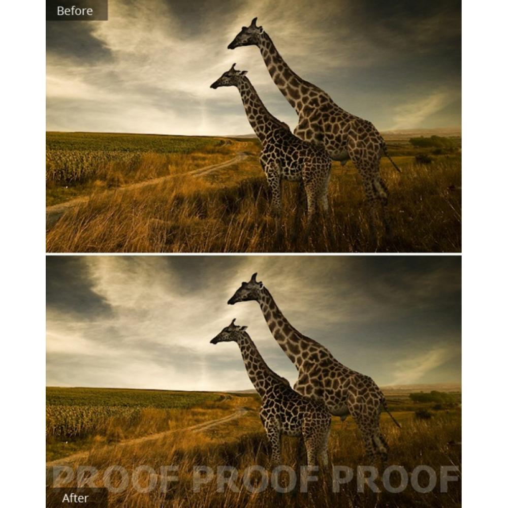 Corel - AfterShot Pro 3 Editor gráfico Completo 1 licencia(s)