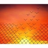 Corel - AfterShot Pro 3 Editor gráfico Completo 1 licencia(s)