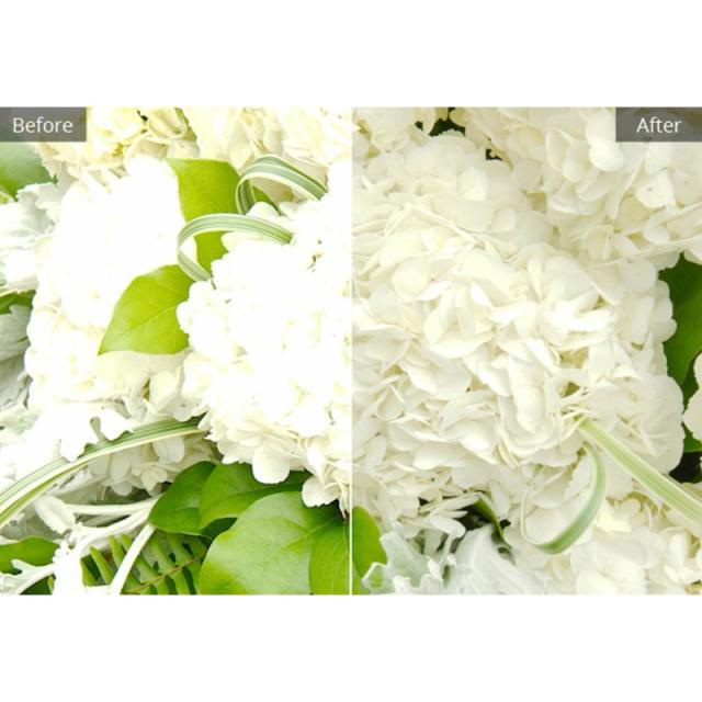 Corel - AfterShot Pro 3 Editor gráfico Completo 1 licencia(s)