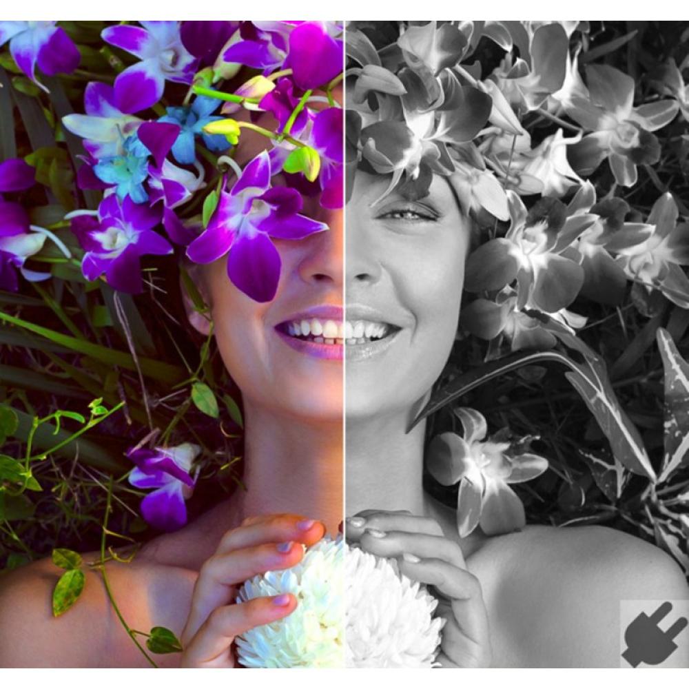 Corel - AfterShot Pro 3 Editor gráfico Completo 1 licencia(s)