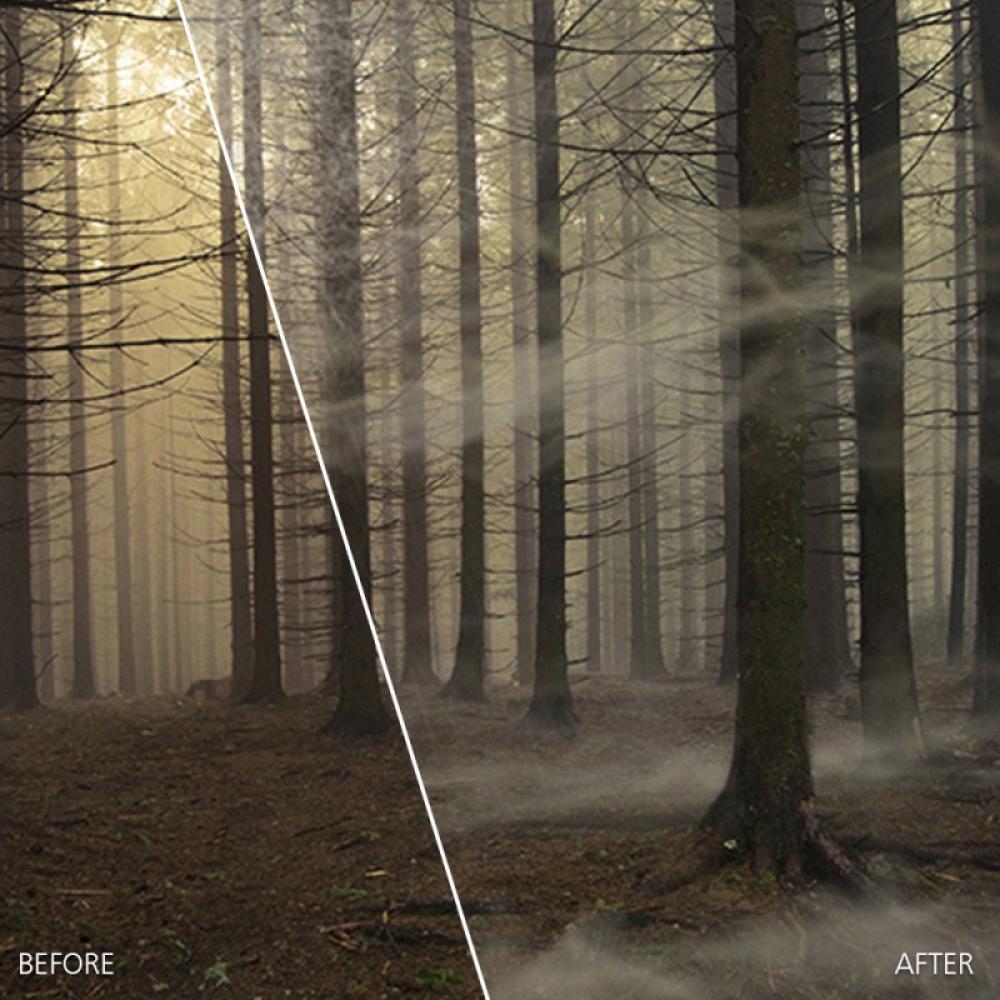 Corel - ParticleShop Editor gráfico Completo