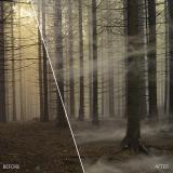 Corel - ParticleShop Editor gráfico Completo