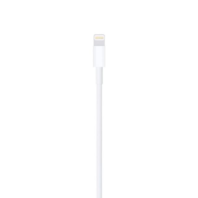 Apple - Cable de conector Lightning a USB (1 m)