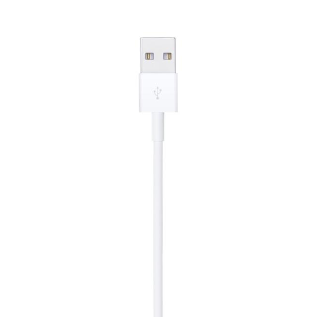 Apple - Cable de conector Lightning a USB (1 m)