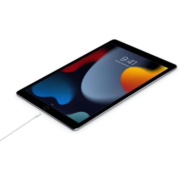 Apple - Cable de USB-C a conector Lightning (1 m)