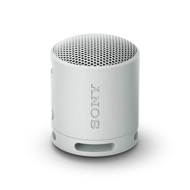 Sony - SRS-XB100 Altavoz monofónico portátil Gris