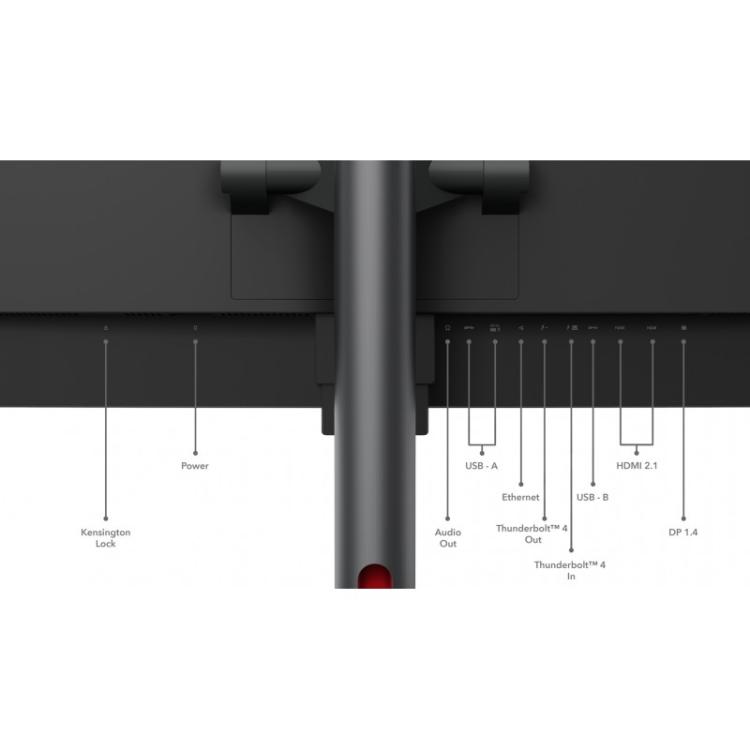 Lenovo - ThinkVision P49w-30 LED display 124,5 cm (49") 5120 x 1440 Pixeles DQHD Negro