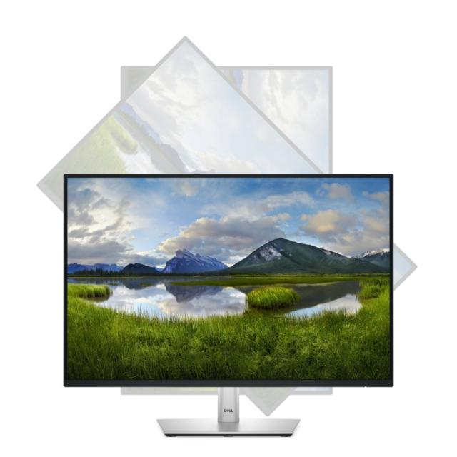 DELL - Pro Plus P2425 pantalla para PC 61,1 cm (24.1") 1920 x 1200 Pixeles WUXGA LCD Negro