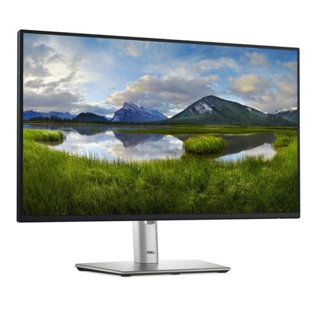 DELL - Pro Plus P2425HE pantalla para PC 60,5 cm (23.8") 1920 x 1080 Pixeles Full HD LCD Negro