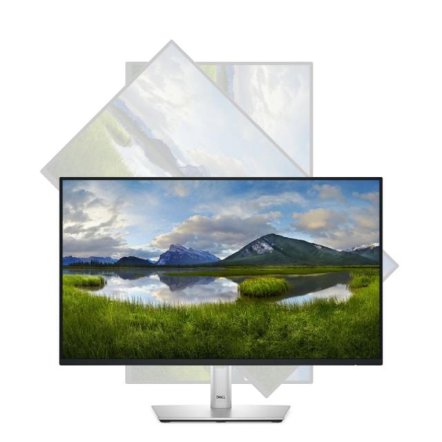 DELL - Pro Plus P2425H pantalla para PC 60,5 cm (23.8") 1920 x 1080 Pixeles Full HD LCD Negro