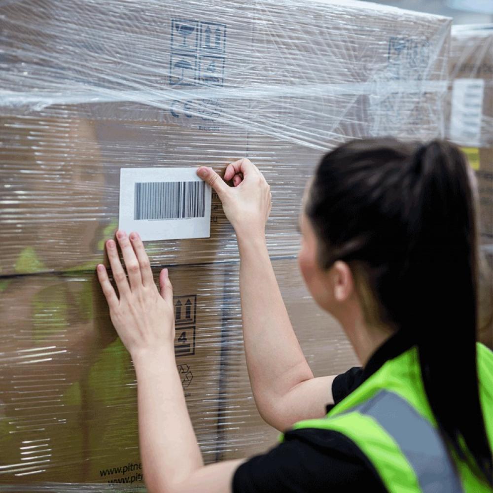 Brother - TJ-4120TN impresora de etiquetas Térmica directa / transferencia térmica 300 x 300 DPI 178 mm/s Ethernet