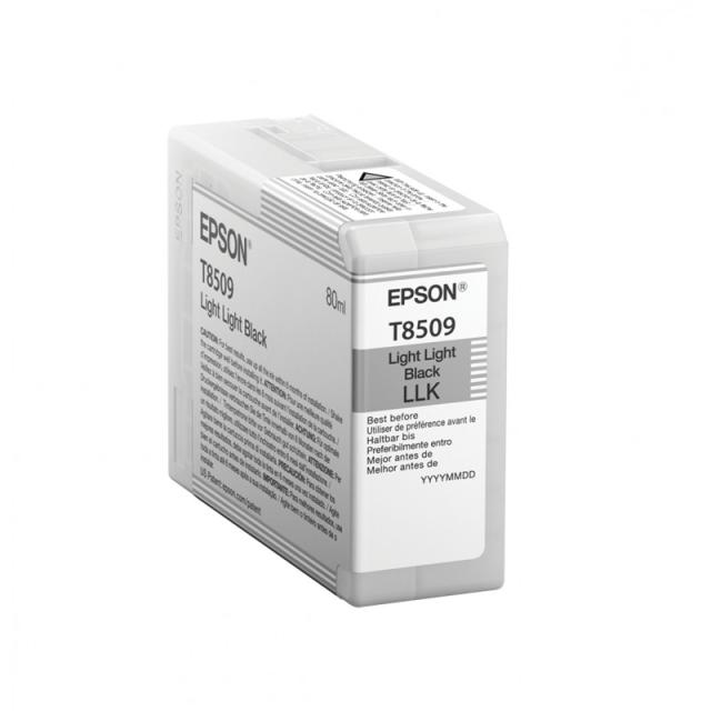 Epson - Singlepack Light Light Black T850900