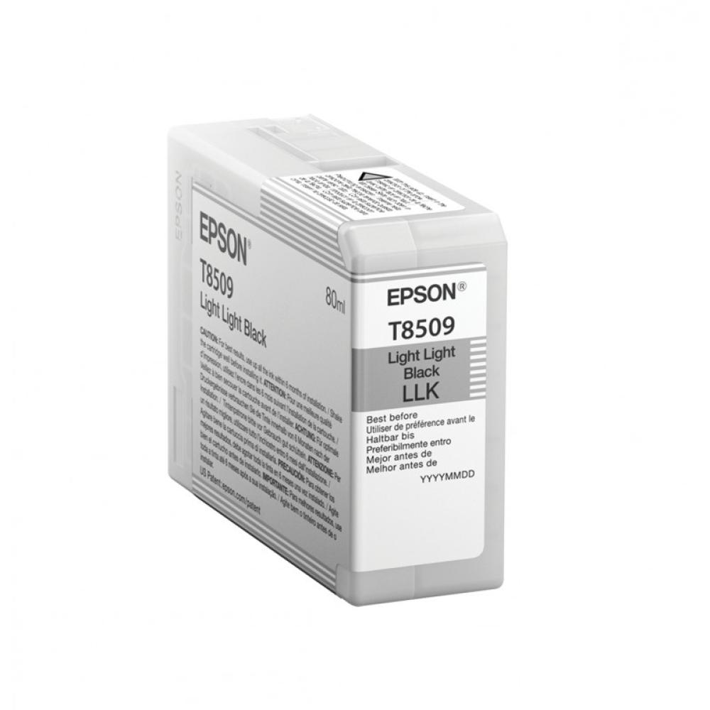 Epson - Singlepack Light Light Black T850900