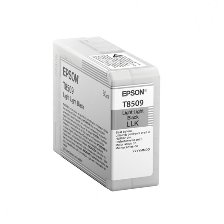 Epson - Singlepack Light Light Black T850900