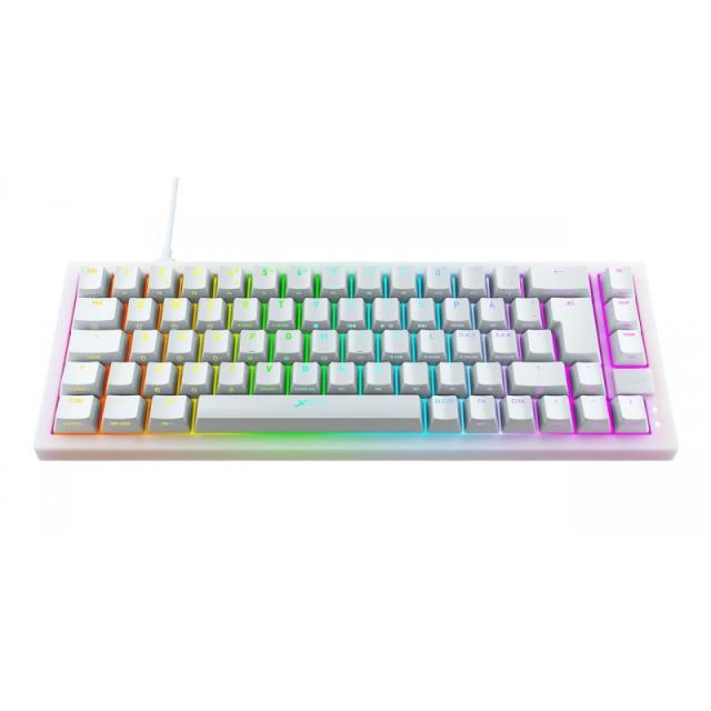 CHERRY XTRFY - K5 COMPACT RGB teclado Juego USB QWERTY Español Negro, Blanco