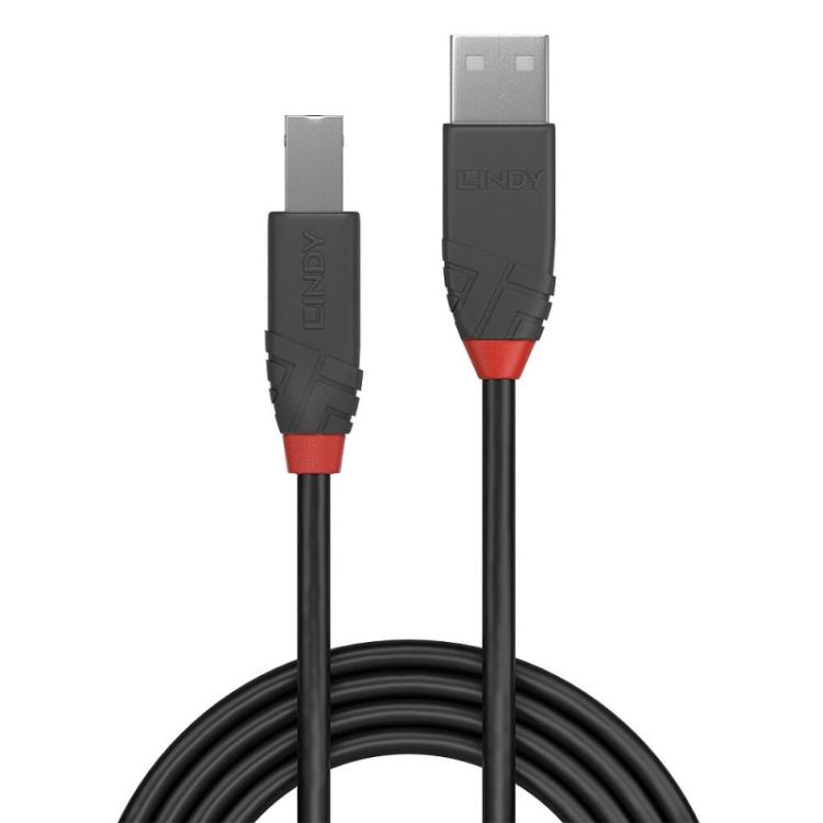 Lindy - 36670 cable USB USB 2.0 0,2 m USB A USB B Negro, Gris