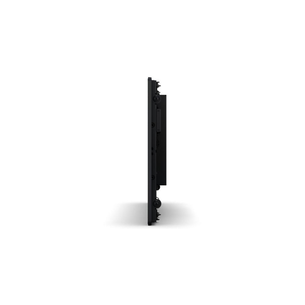 Elo Touch Solutions - 2094L 49,5 cm (19.5") LED 225 cd / m² Negro Pantalla táctil