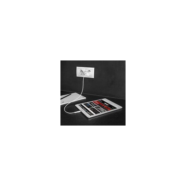 Lindy - 73412 cargador de dispositivo móvil Smartphone, Tableta Blanco Corriente alterna Carga rápida Interior, Exterior